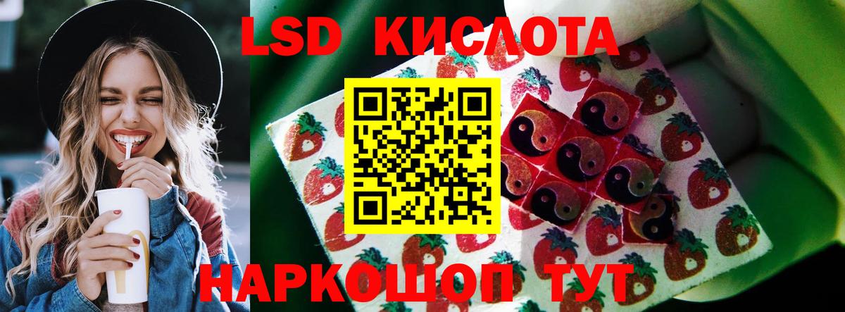Новозыбков  Лсд 25 экстази кислота  Вход с VPN  LSD-25 экстази ecstasy 