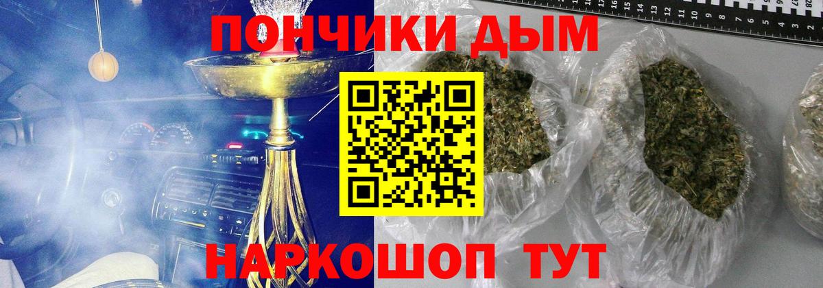 Бошки Шишки план  Марихуана MAZAR  Бошки Шишки OG Kush  Вход с VPN  Новозыбков 